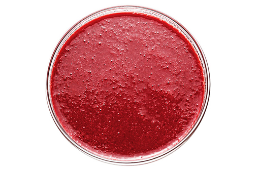 Strawberry Puree Concentrate